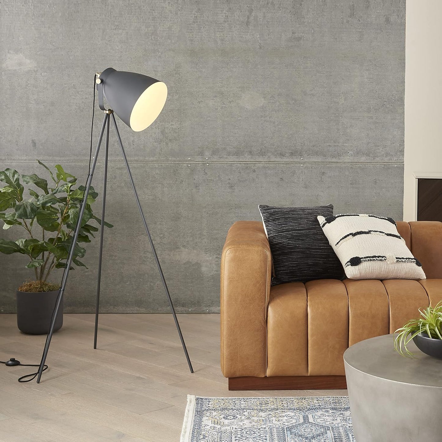 57" Spotlight Floor Lamp, Modern, Industrial, Transitional for Bedroom, Living Room, Office, Black