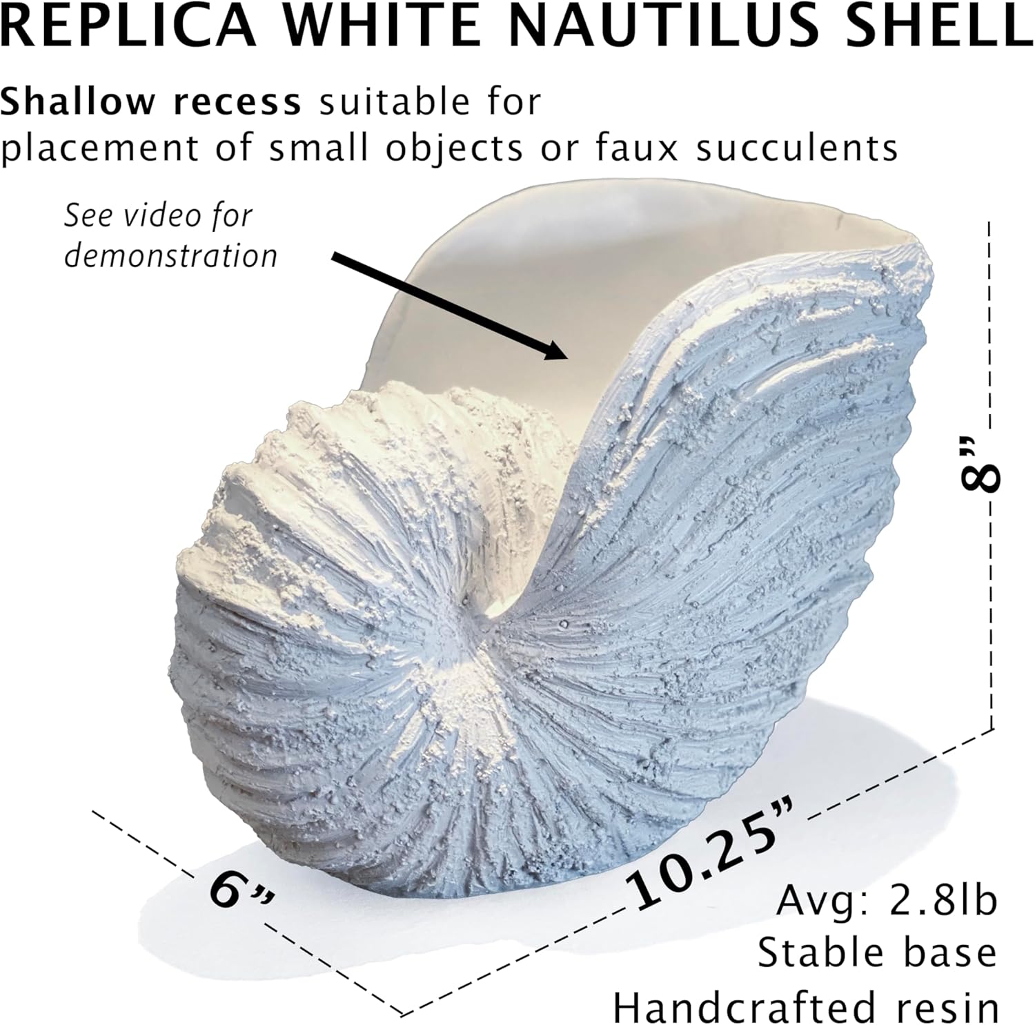 Nautilus Shell Sculpture – Rustic White Coastal Resin Decor