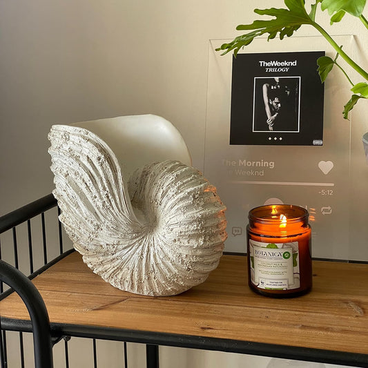 Nautilus Shell Sculpture – Rustic White Coastal Resin Decor