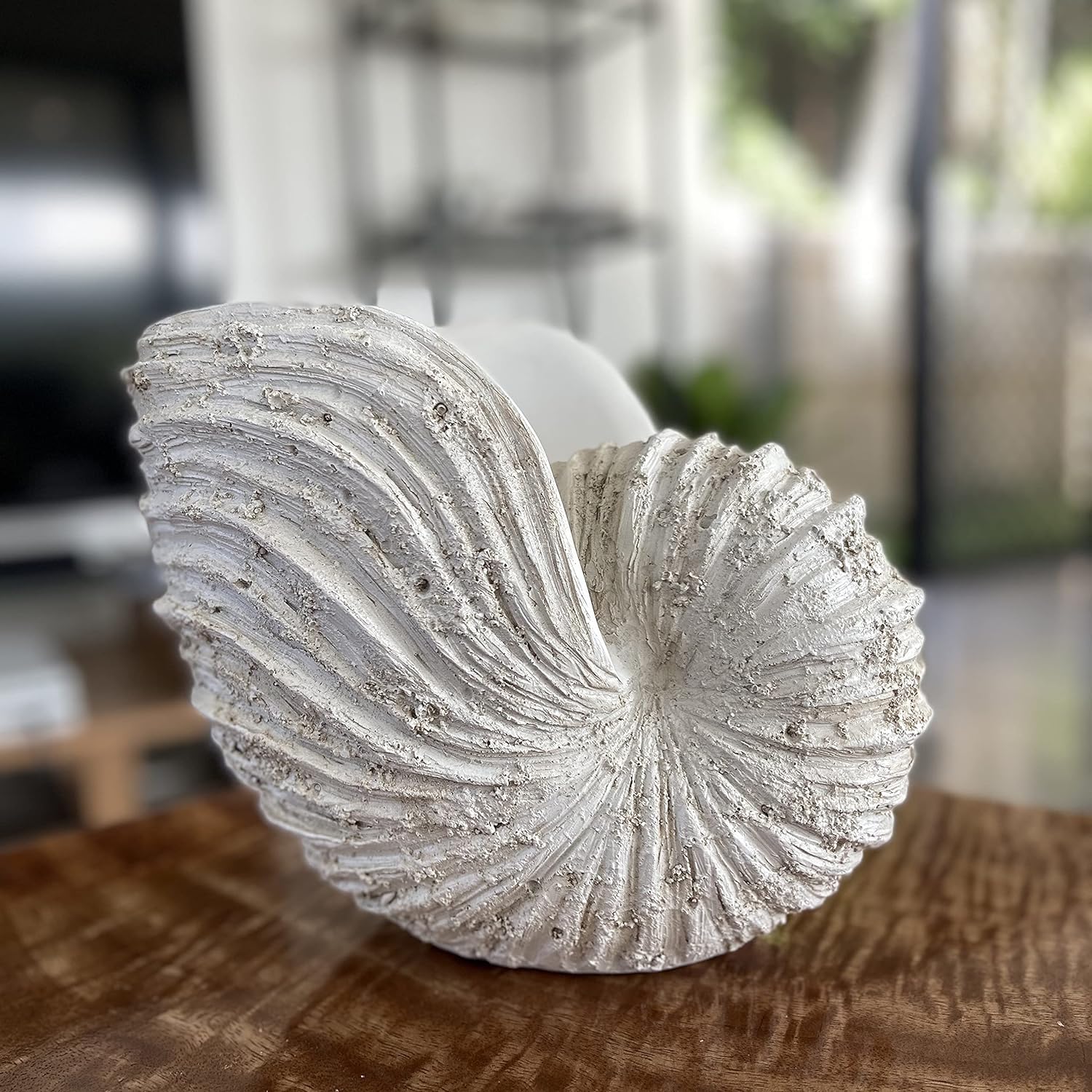 Nautilus Shell Sculpture – Rustic White Coastal Resin Decor