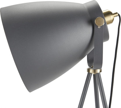 57" Spotlight Floor Lamp, Modern, Industrial, Transitional for Bedroom, Living Room, Office, Black